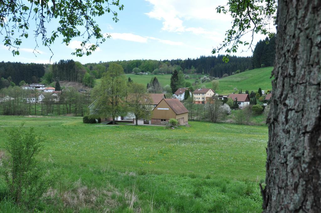 Ferienwohnungen Zur Muehle Mossautal Kültér fotó